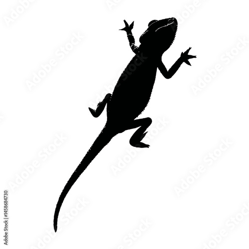 Solid black silhouette of a chameleon camouflaged, Vector Graphic