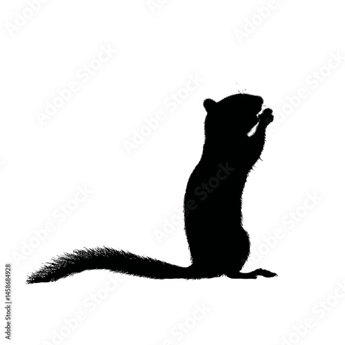 Solid black silhouette of a chipmunk nibbling, Vector Graphic