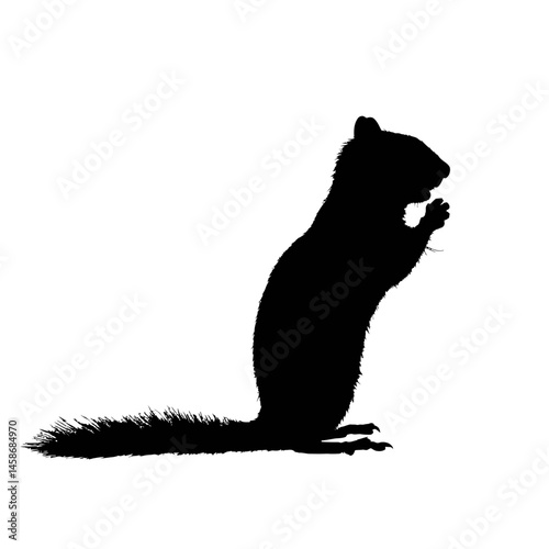 Solid black silhouette of a chipmunk nibbling, Vector Graphic