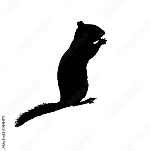 Solid black silhouette of a chipmunk nibbling, Vector Graphic