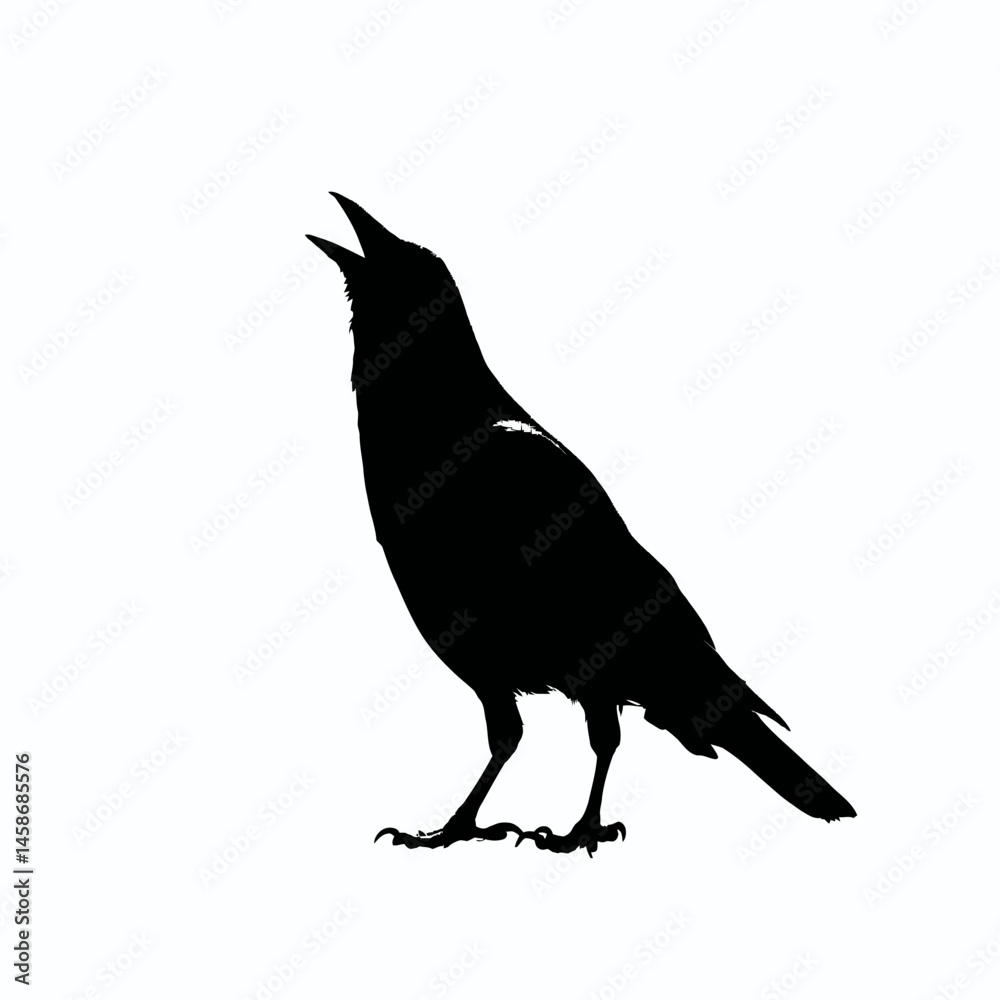 Obraz premium Solid black silhouette of a crow cawing, Vector Graphic