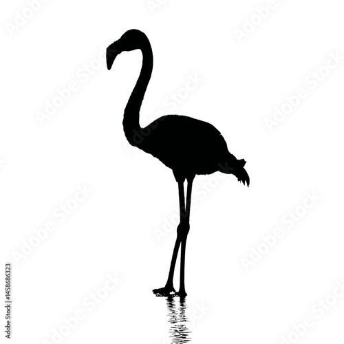 Solid black silhouette of a flamingo filtering, Vector Graphic