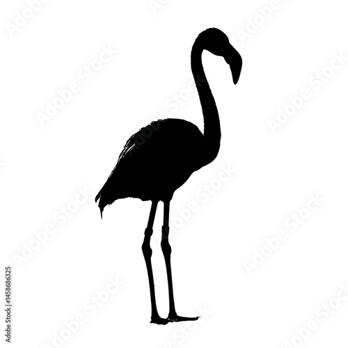 Solid black silhouette of a flamingo filtering, Vector Graphic