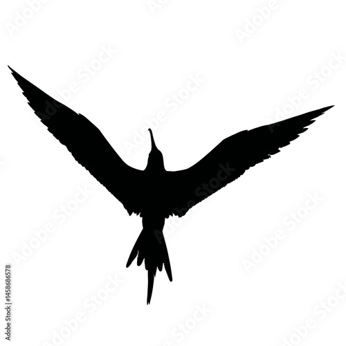 Solid black silhouette of a frigatebird soaring, Vector Graphic
