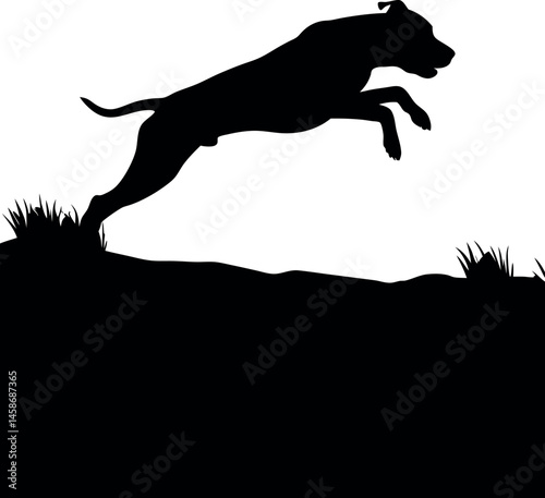 Silhouette of Pitbull Jumping Over Hill, Black and White, Nature Background, Canine