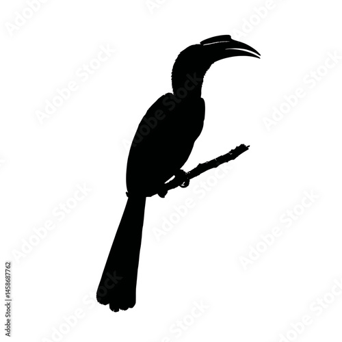Solid black silhouette of a hornbill large, Vector Graphic