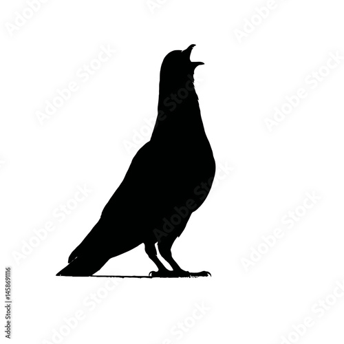 Solid black silhouette of a pigeon cooing, Vector Graphic