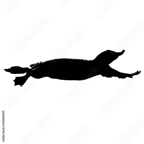 Solid black silhouette of a platypus swimming, Vector Graphic