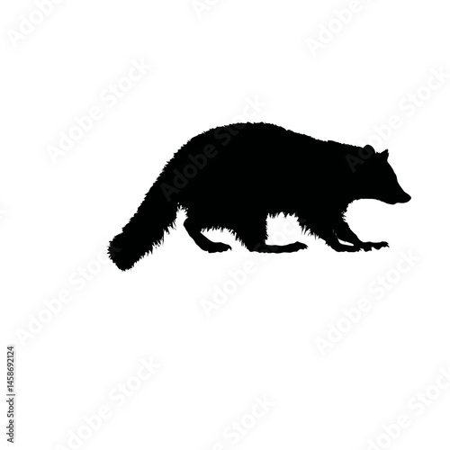 Solid black silhouette of a raccoon sneaking, Vector Graphic