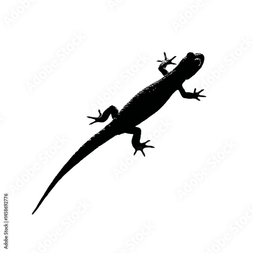 Solid black silhouette of a salamander crawling, Vector Graphic