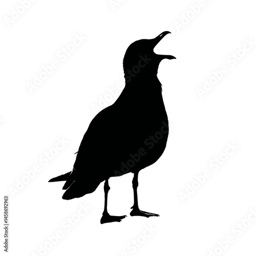 Solid black silhouette of a seagull squawking, Vector Graphic