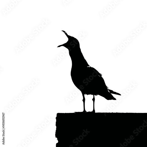 Solid black silhouette of a seagull squawking, Vector Graphic
