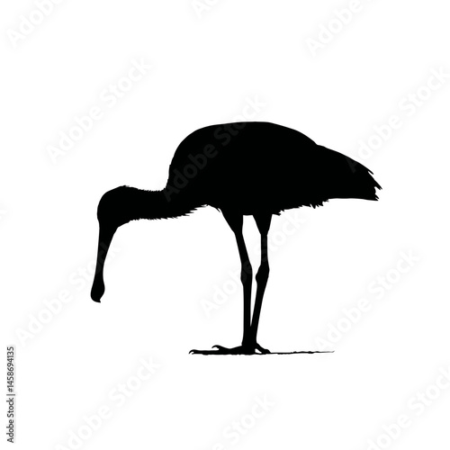 Solid black silhouette of a spoonbill feeding, Vector Graphic