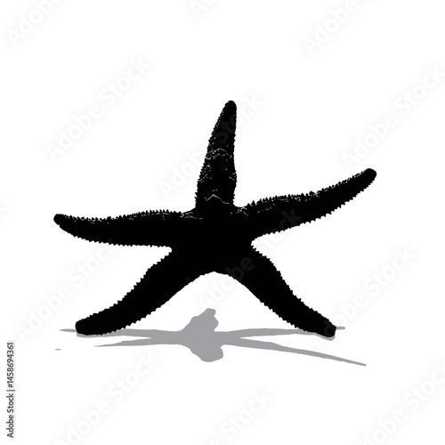 Solid black silhouette of a starfish resting, Vector Graphic
