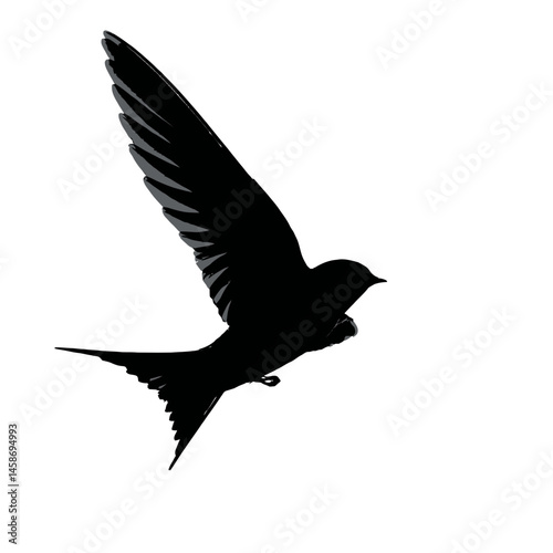 Solid black silhouette of a swift speeding, Vector Graphic