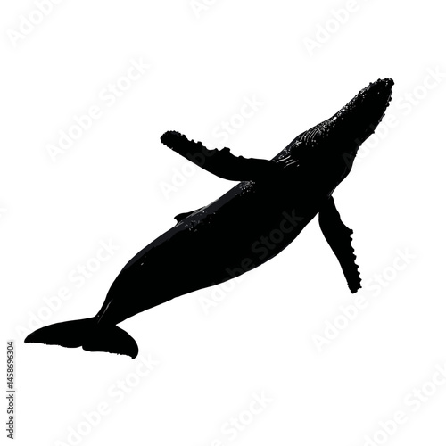 Solid black silhouette of a whale breaching, Vector Graphic