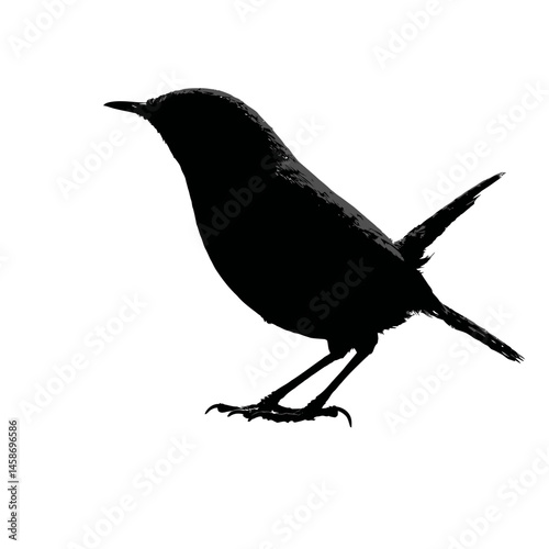 Solid black silhouette of a wren tiny, Vector Graphic