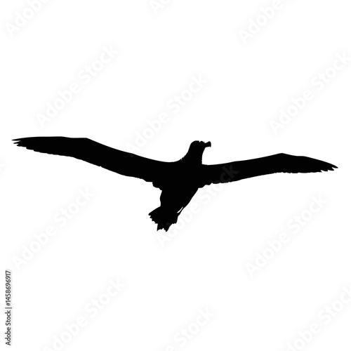 Solid black silhouette of an albatross gliding, Vector Graphic