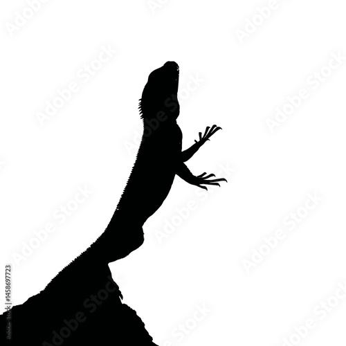 Solid black silhouette of an iguana basking, Vector Graphic