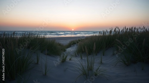 Beach scene at sunset with beach sand dunes and grass, peaceful nature.