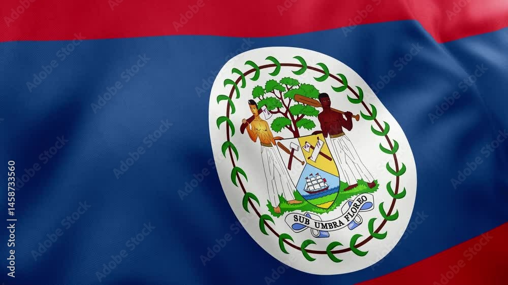Close up realistic animation of Belize national flag waving gently. Ideal for patriotism, travel, national identity concepts