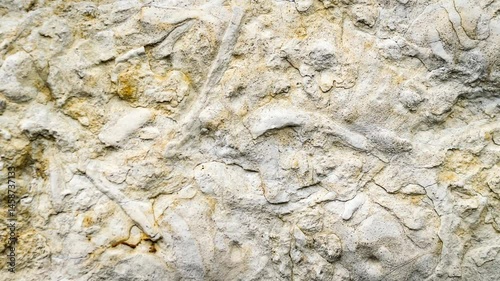 light limestone with interesting texture visible. background