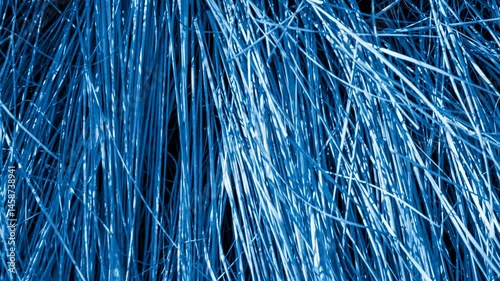 blue dry grass. background or texture