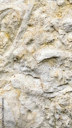 light limestone with interesting texture visible. background