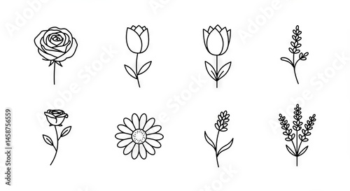 Simple line art illustrations of various flowers.