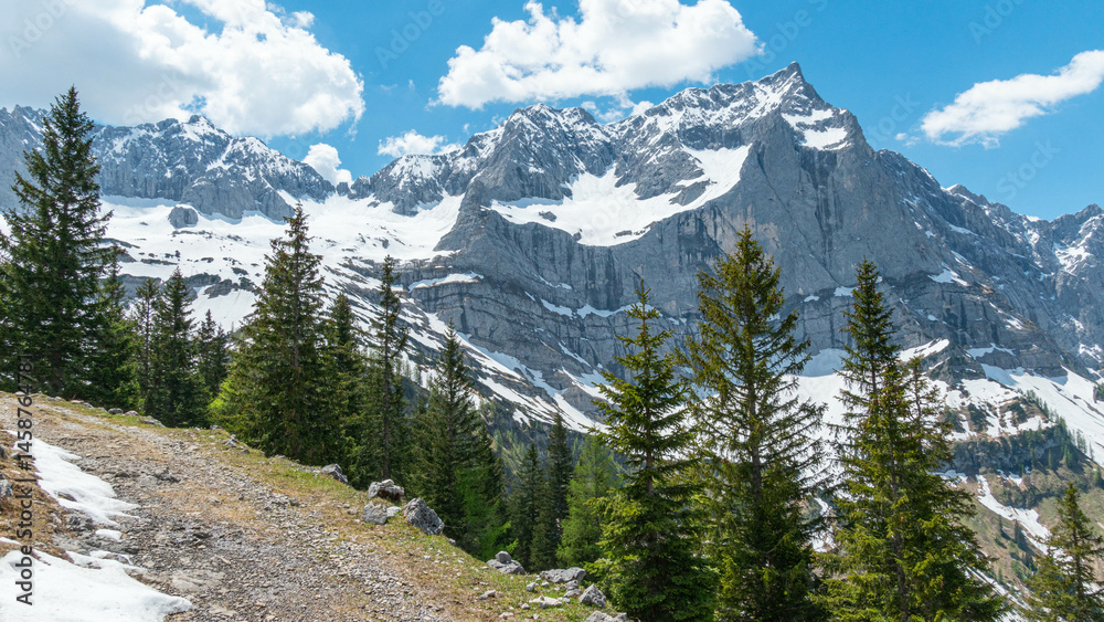 Obraz premium Paisaje soleado de montaña con nieve y árboles