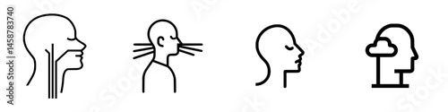 Variety of vector illustrations showcasing human head profiles and related features for educational or medical purposes