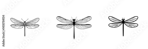 Vector illustration of three detailed dragonflies displaying unique designs and styles providing a captivating look at insect art