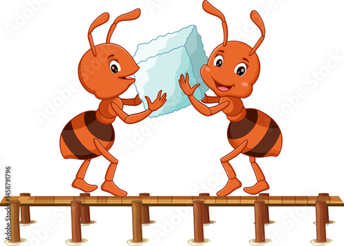 ants are working together to get sugar