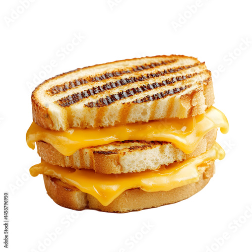 Delicious Grilled Cheese Sandwich on white background