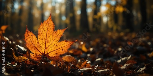 Golden Autumn Leaf in a Lush Forest Canopy