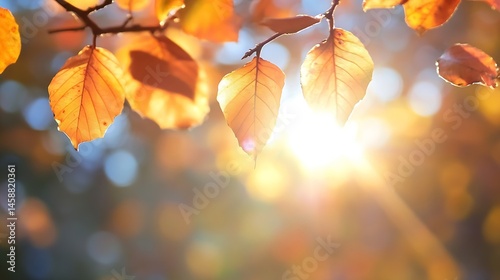 Autumn leaves backlit by sunlight, showcasing vibrant orange and yellow hues, hanging from a branch against a softly blurred background. : Generative AI