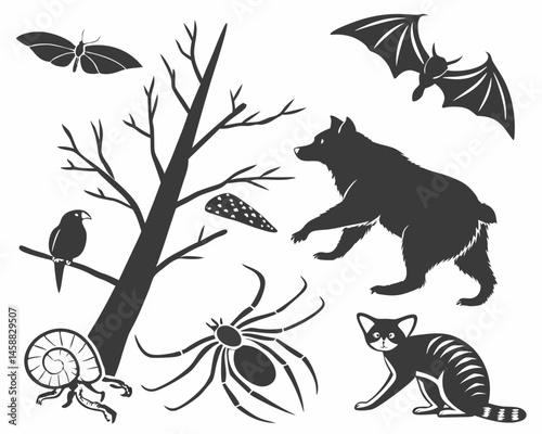Enchanting wildlife silhouettes bear bat spider cat bird butterfly snail tree stylized monochrome artwork