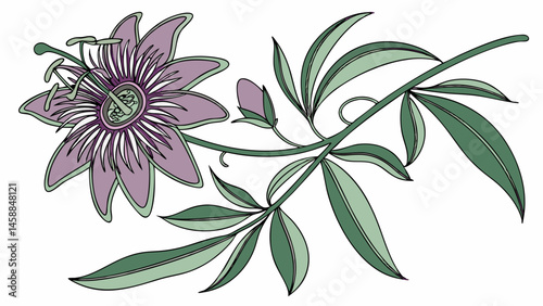 Vector beautiful purple and green tropical flower with long leaves, showcasing intricate details and vibrant colors