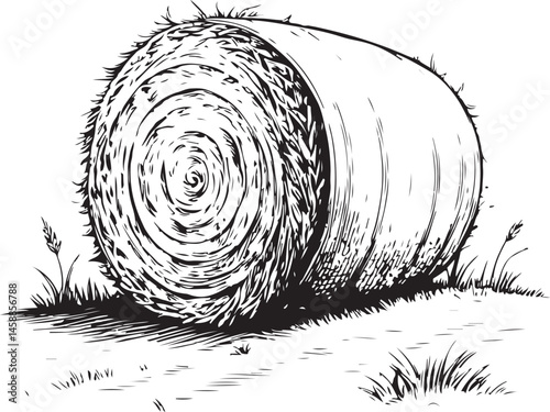 Hay bale, Farm, Farming and Agriculture, Black and White Vector Illustration, Sketch Drawing Line Linear Symbol Icon Engraving, Hand-drawn Isolated