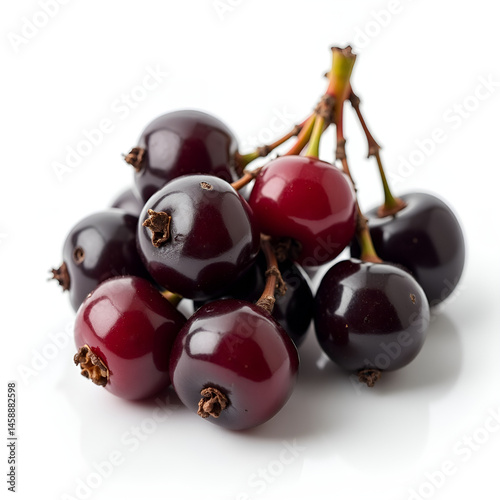 red currant isolated on white background