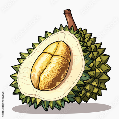A cute of Durian vector illustration