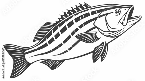 Vector detailed illustration of striped fish, showcasing its prominent fins and distinctive stripes, evokes sense of aquatic beauty