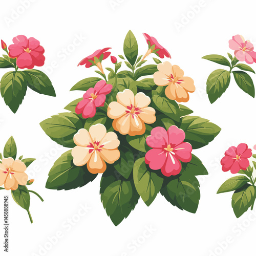 green, flower, impatiens, blossom, garden, nature, floral, bloom, colorful, leaf, plant, summer, flora, blooming, beautiful, gardening, botanical, beauty, botany, pink, spring, bright, color, fresh, r