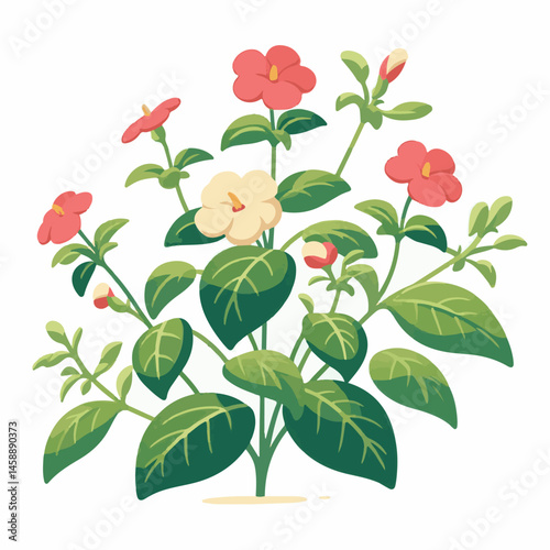 green, flower, impatiens, blossom, garden, nature, floral, bloom, colorful, leaf, plant, summer, flora, blooming, beautiful, gardening, botanical, beauty, botany, pink, spring, bright, color, fresh, r