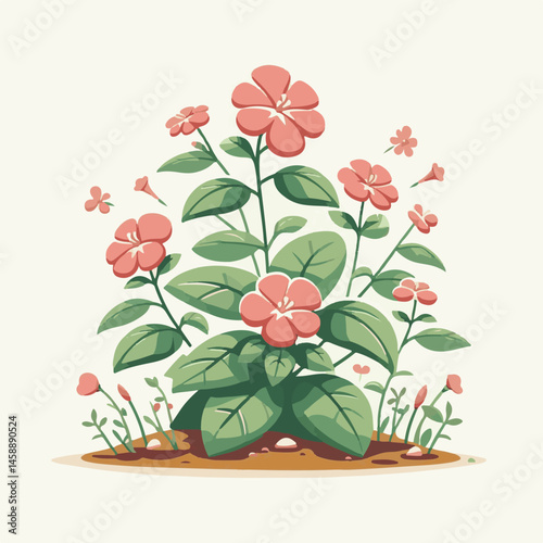 green, flower, impatiens, blossom, garden, nature, floral, bloom, colorful, leaf, plant, summer, flora, blooming, beautiful, gardening, botanical, beauty, botany, pink, spring, bright, color, fresh, r