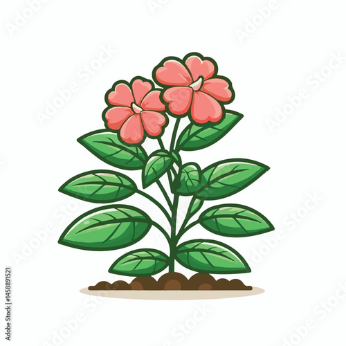 green, flower, impatiens, blossom, garden, nature, floral, bloom, colorful, leaf, plant, summer, flora, blooming, beautiful, gardening, botanical, beauty, botany, pink, spring, bright, color, fresh, r