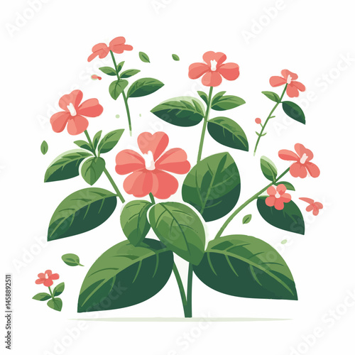 green, flower, impatiens, blossom, garden, nature, floral, bloom, colorful, leaf, plant, summer, flora, blooming, beautiful, gardening, botanical, beauty, botany, pink, spring, bright, color, fresh, r