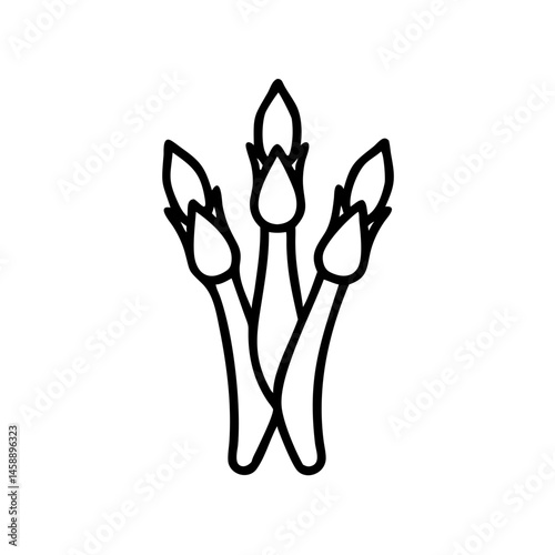 Asparagus illustration in black and white line art style