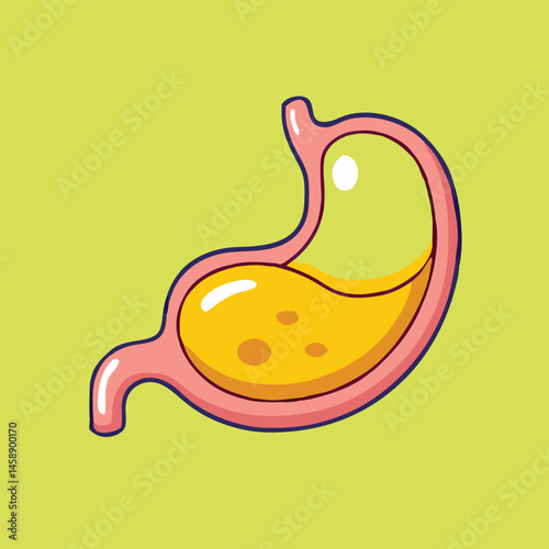 A stylized stomach with orange fluid and gastric bubbles sits against a solid green backdrop