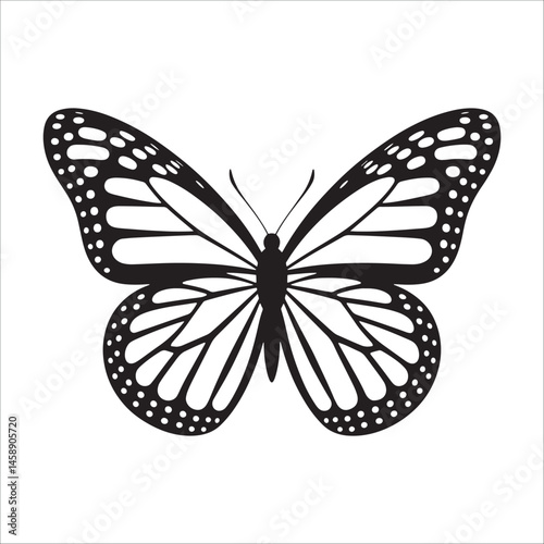 Butterfly silhouette with hidden female face profiles in wings, creative black and white vector art.
